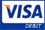 Visa Debit Card Icon